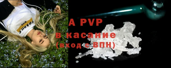 прущие крисы Беломорск