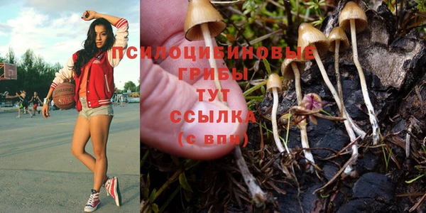 дистиллят марихуана Белоозёрский