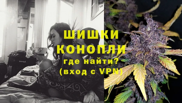 молекула духа Белокуриха