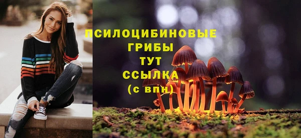 метамфетамин Тавда