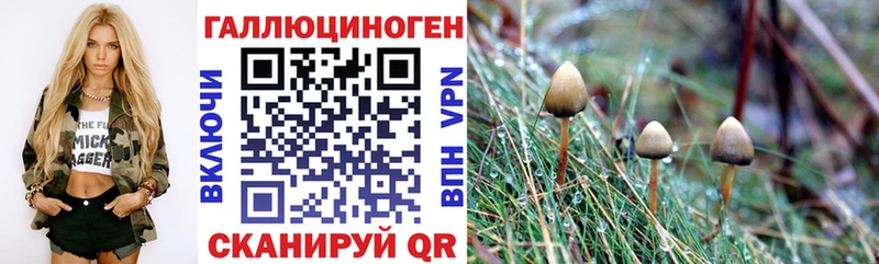 blacksprut зеркало  Будённовск  Галлюциногенные грибы ЛСД 